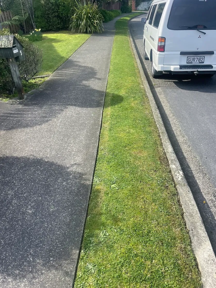 Steve's van parked beside a freshly mowed berm in Tawa, Wellington