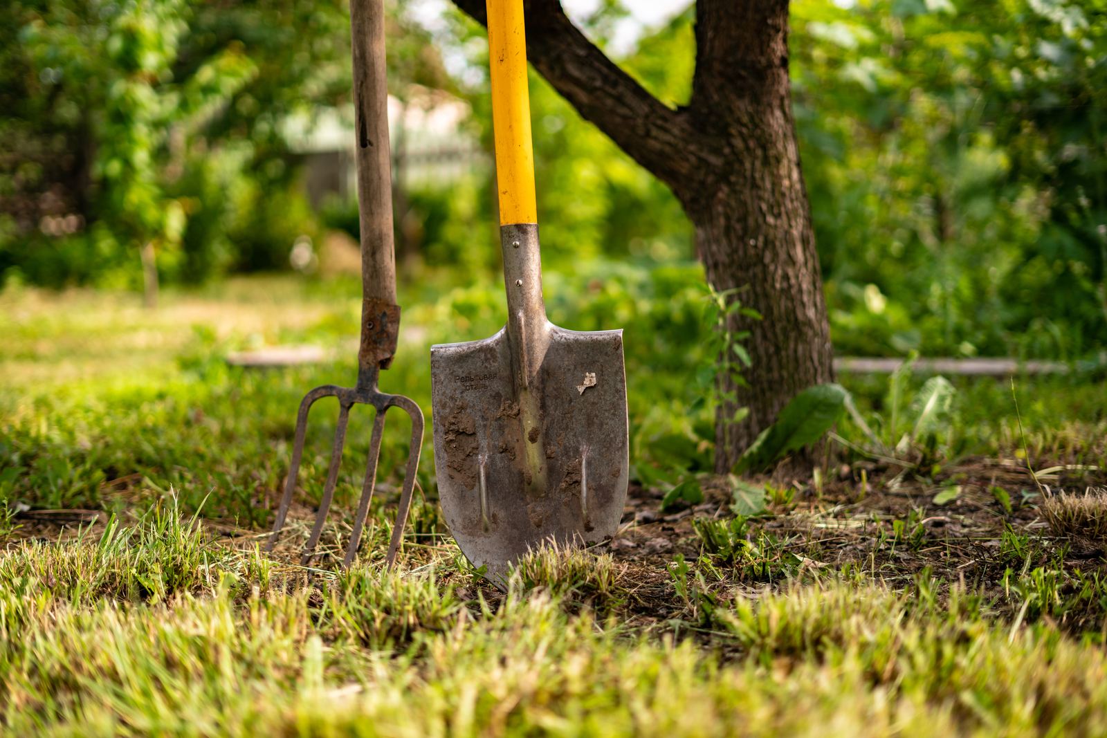 Garden tools ready for a section cleanup in Wellington